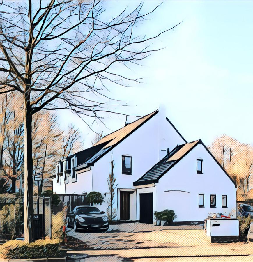 Nummer 151 Villastudios Hasselt Dış mekan fotoğraf