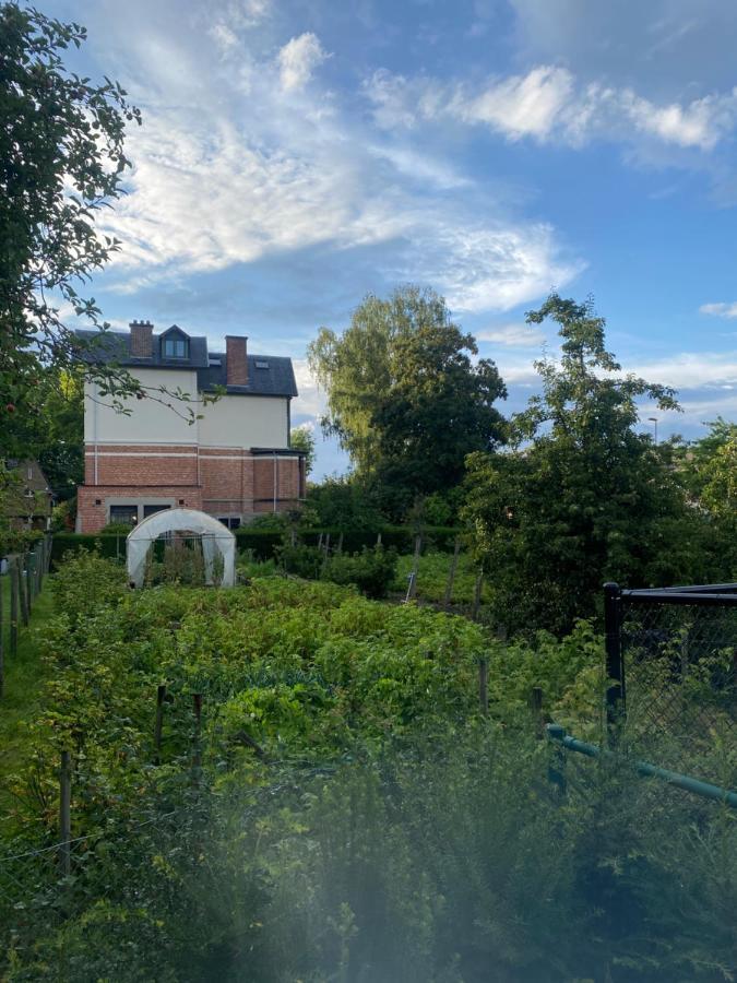 Nummer 151 Villastudios Hasselt Dış mekan fotoğraf
