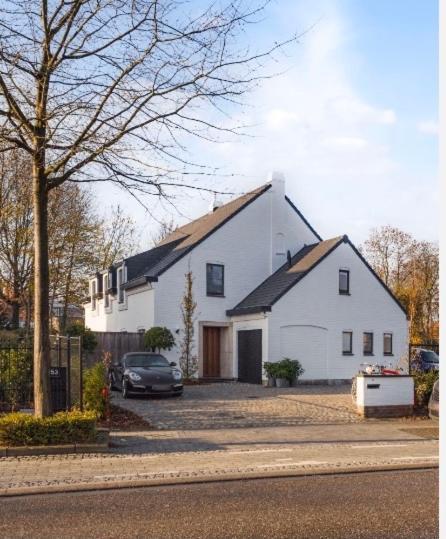 Nummer 151 Villastudios Hasselt Dış mekan fotoğraf
