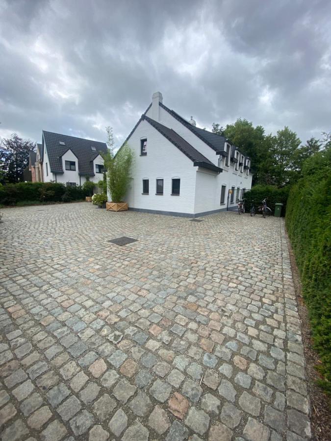 Nummer 151 Villastudios Hasselt Dış mekan fotoğraf