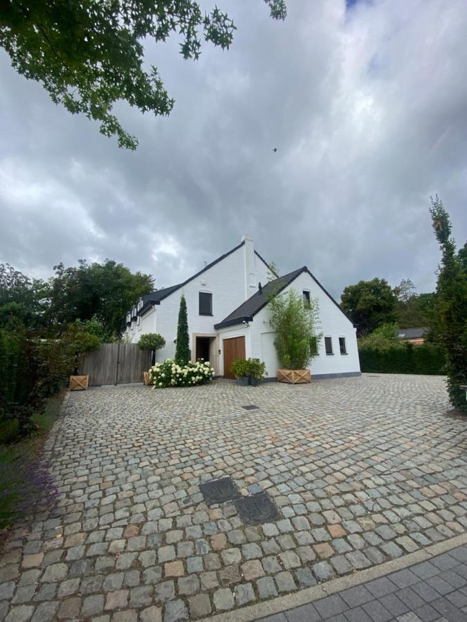 Nummer 151 Villastudios Hasselt Dış mekan fotoğraf