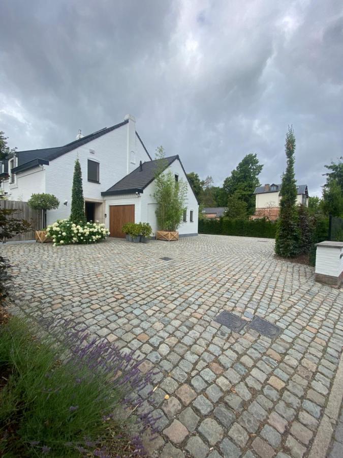 Nummer 151 Villastudios Hasselt Dış mekan fotoğraf