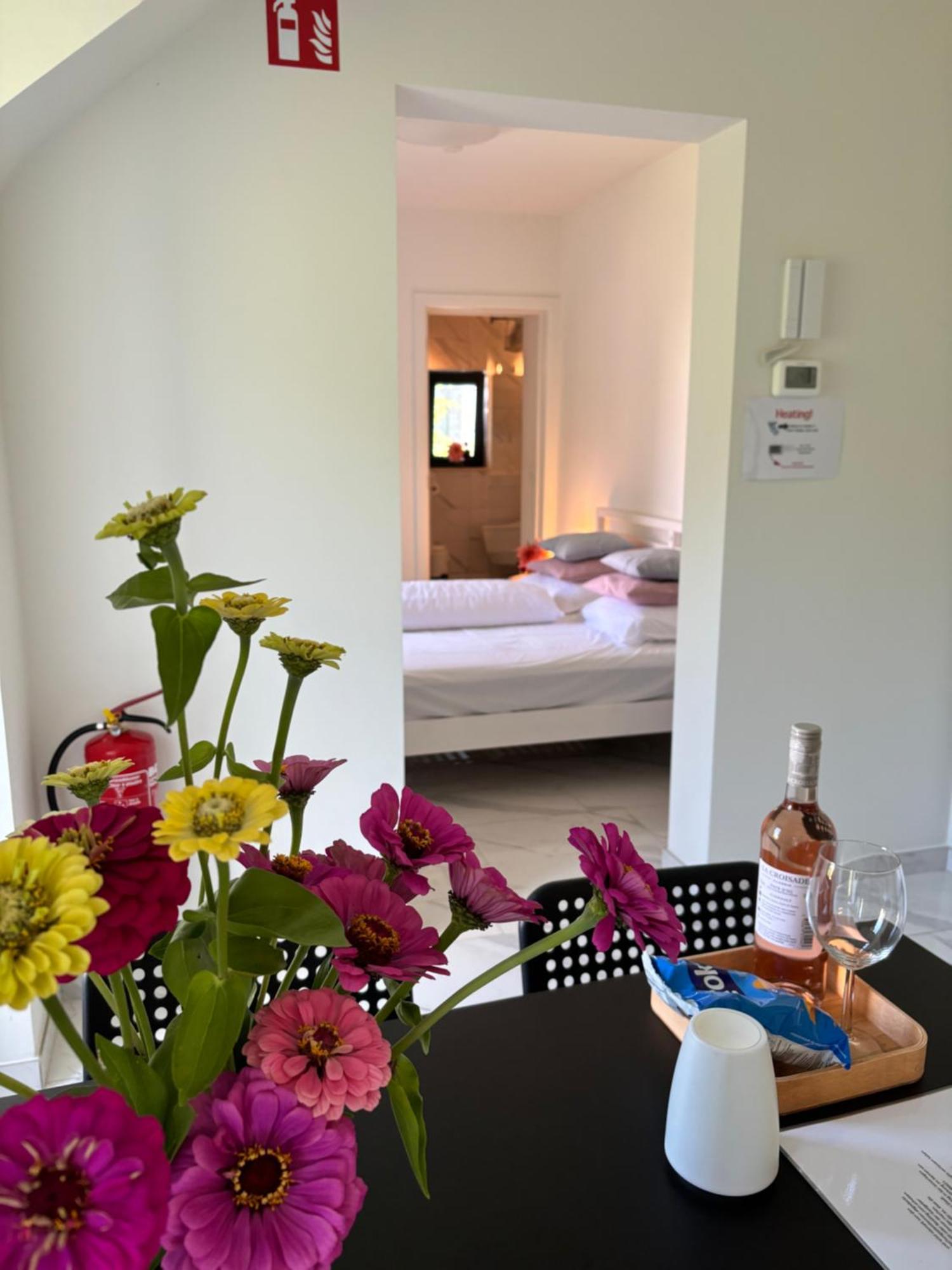 Nummer 151 Villastudios Hasselt Dış mekan fotoğraf