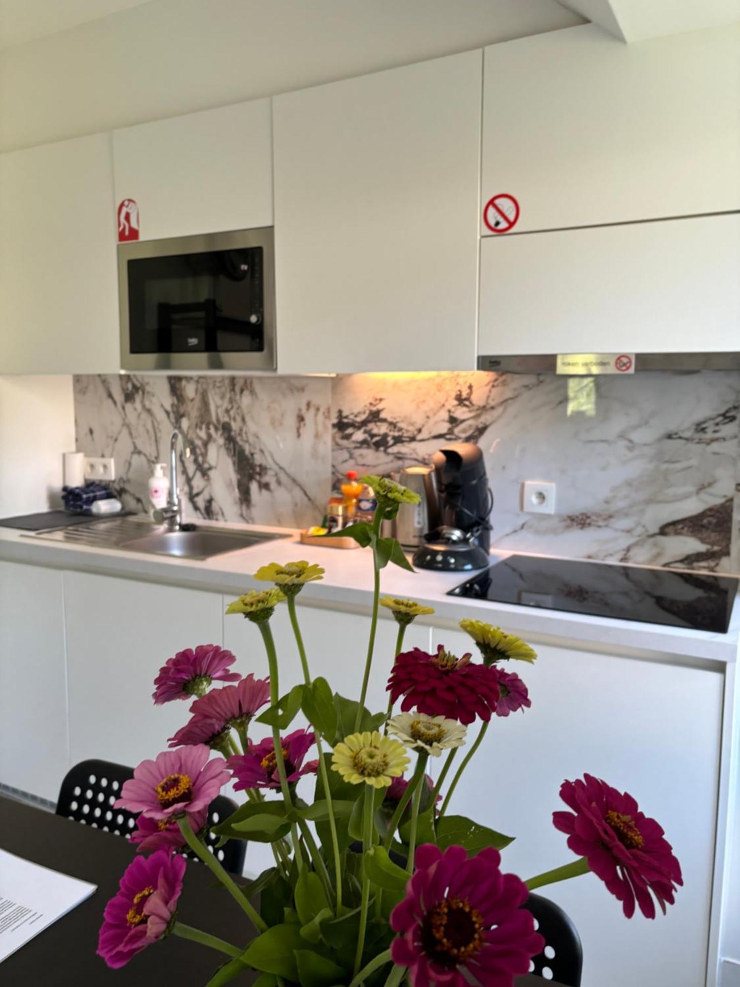 Nummer 151 Villastudios Hasselt Dış mekan fotoğraf