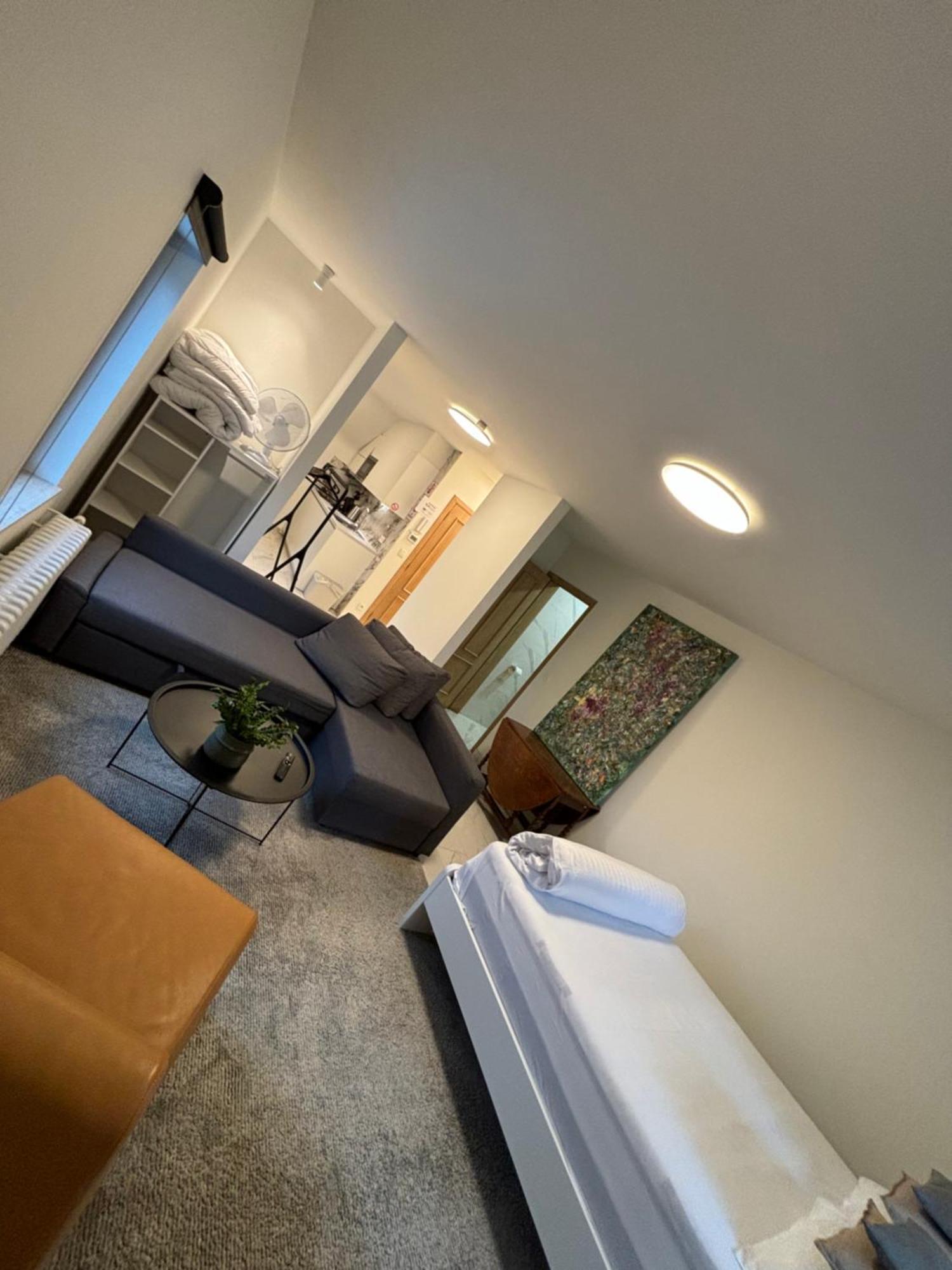 Nummer 151 Villastudios Hasselt Dış mekan fotoğraf