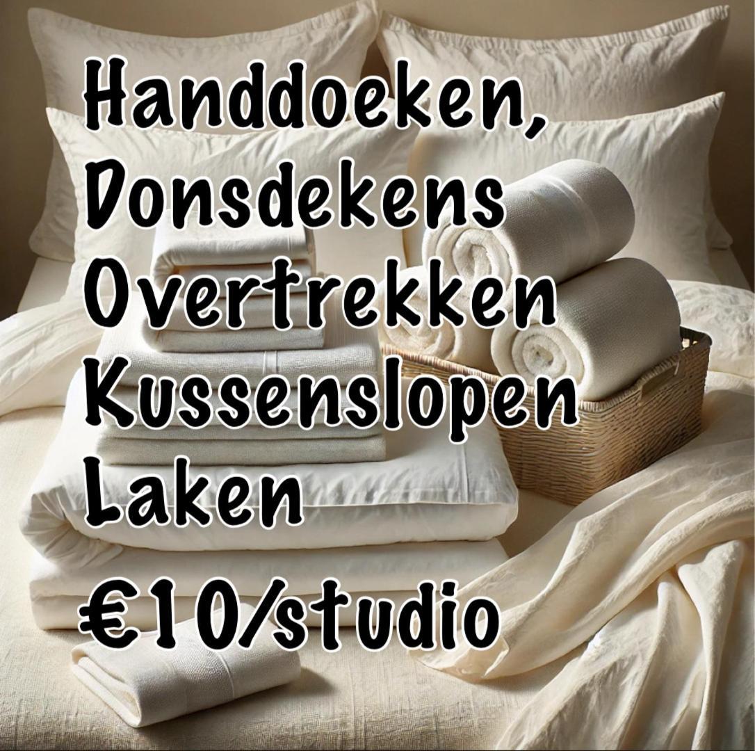 Nummer 151 Villastudios Hasselt Dış mekan fotoğraf
