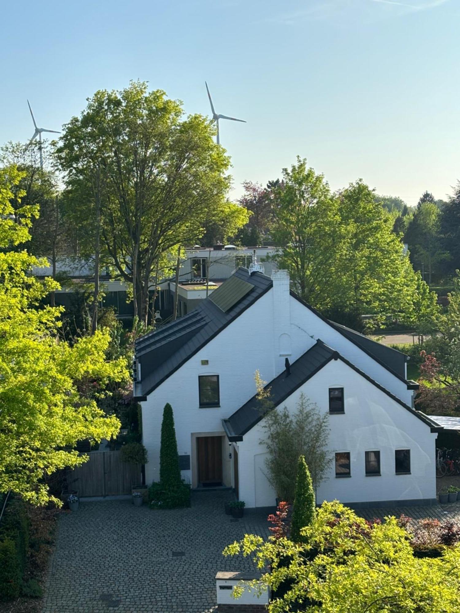 Nummer 151 Villastudios Hasselt Dış mekan fotoğraf