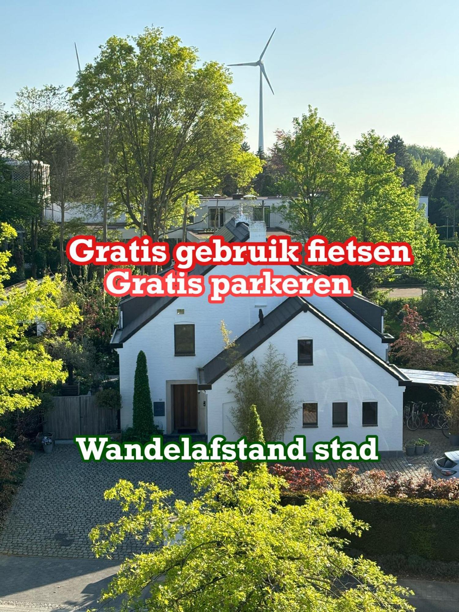 Nummer 151 Villastudios Hasselt Dış mekan fotoğraf