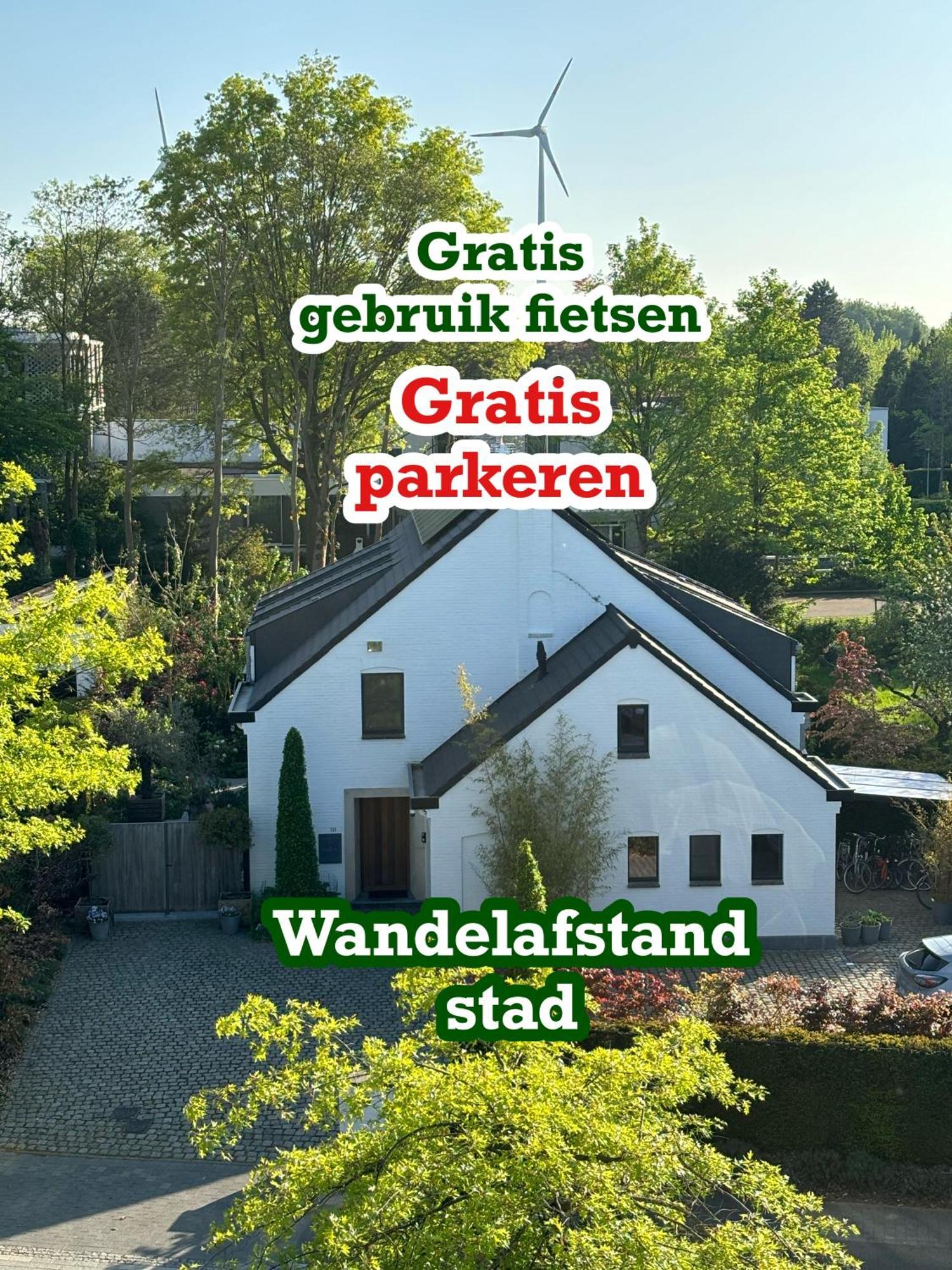 Nummer 151 Villastudios Hasselt Dış mekan fotoğraf